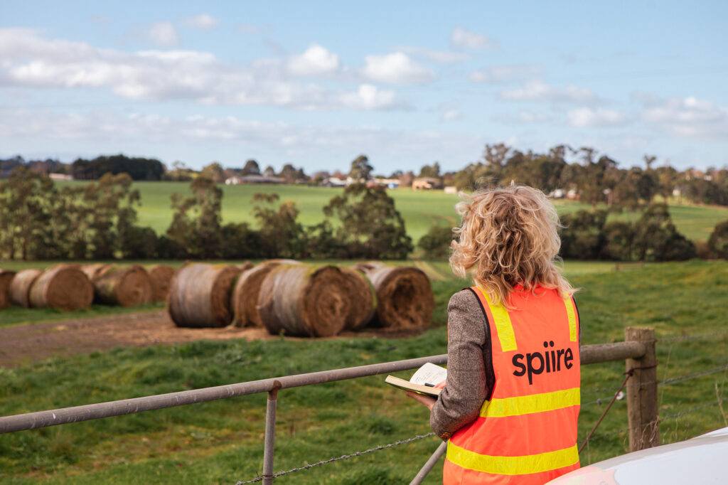 Landscape architect looking across greenfield land in Gippsland.