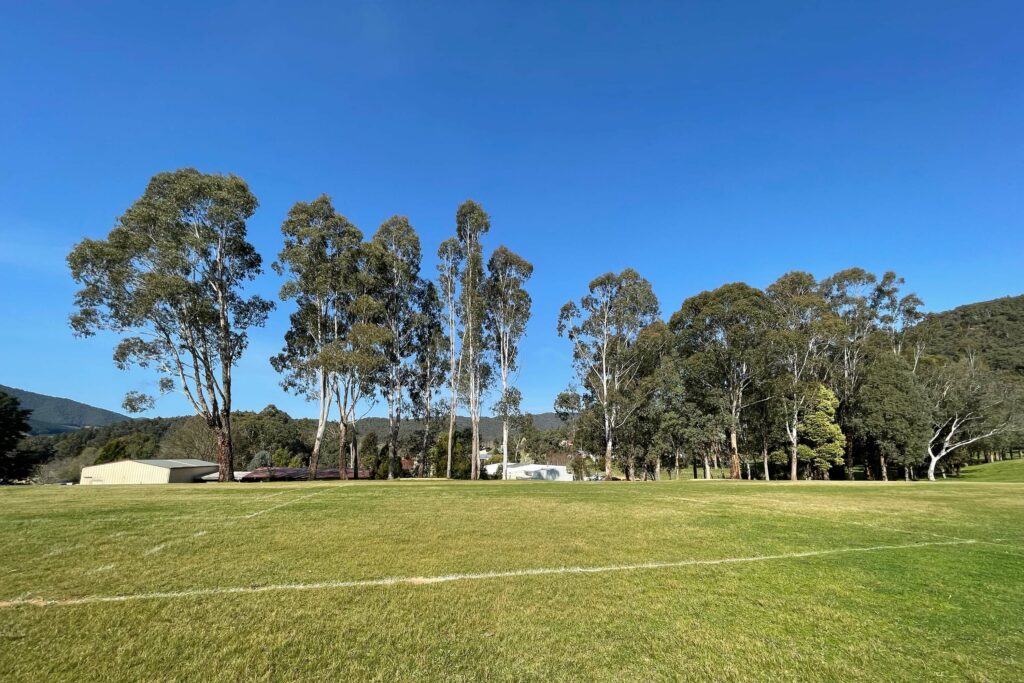 A school oval and surrounding vegetation.