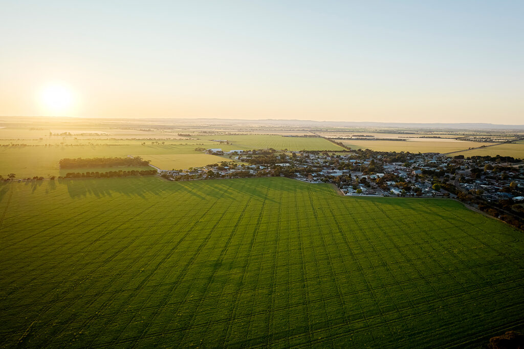 Aerial photograph of the Gracewood, Mallala site.