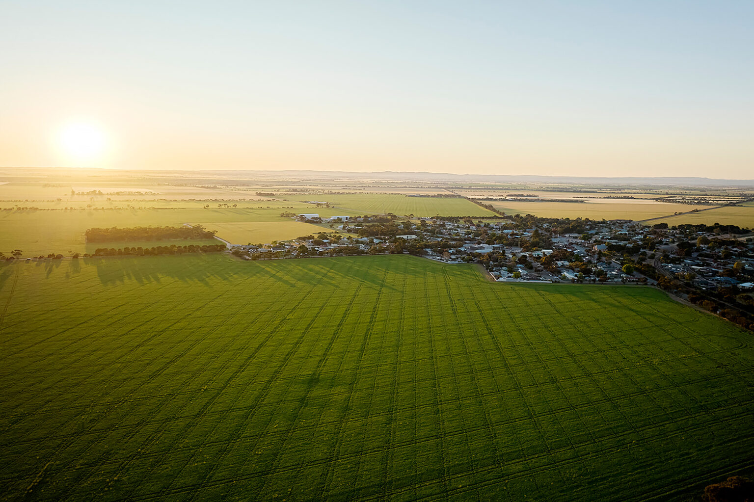 Aerial photography of the Gracewood, Mallala development site in South Australia.