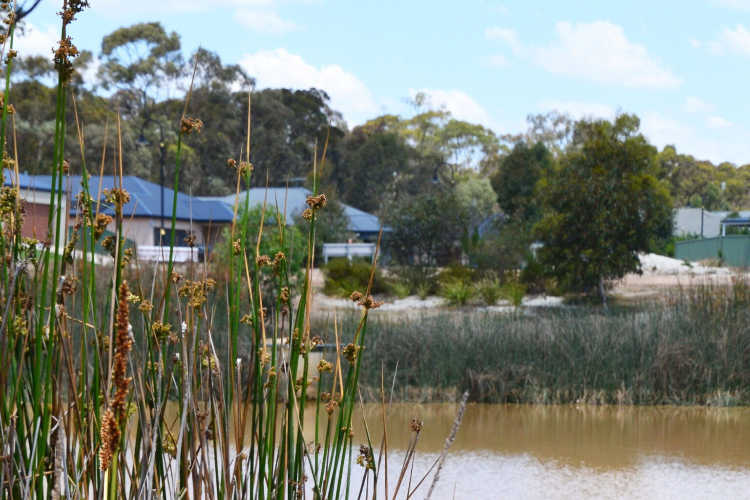 Wetland at McIvor Forest residential estate in Bendigo.