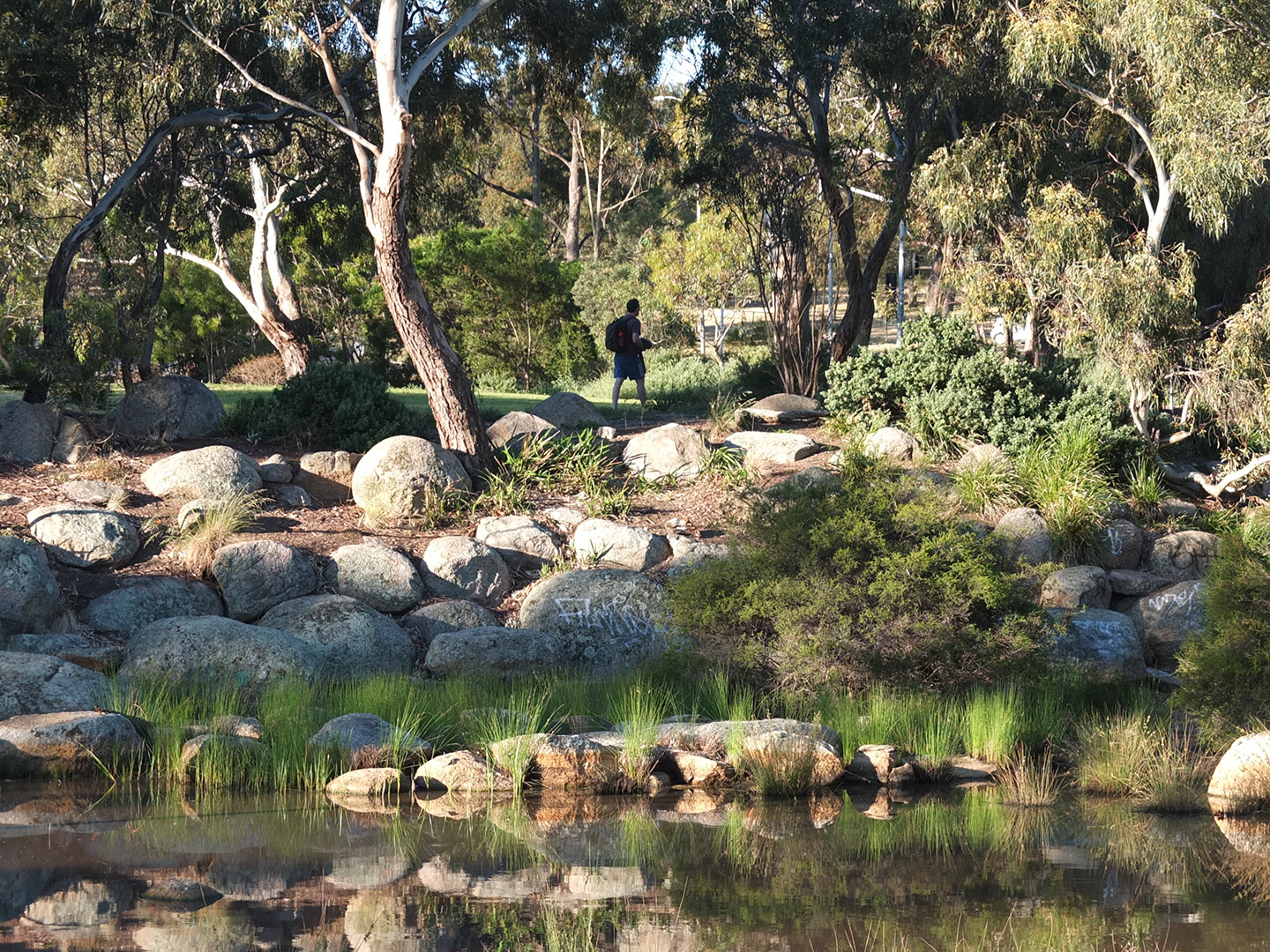 Elliot Avenue Billabong Restoration by Spiire Landscape